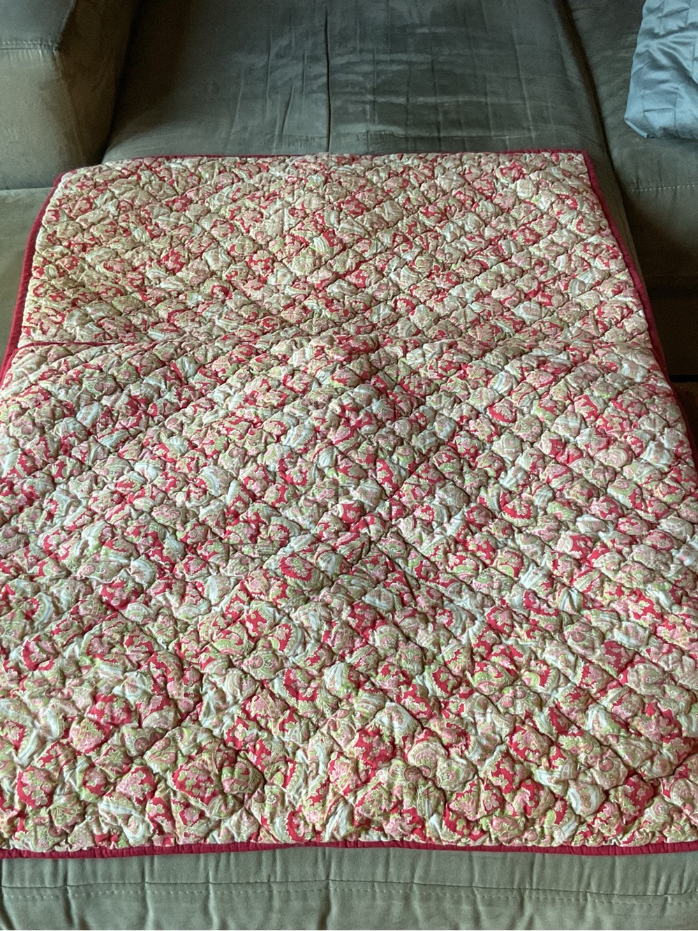 2 Pottery Barn Georgia Quilted Paisley Vintage 2005s Pillow Shams Standard